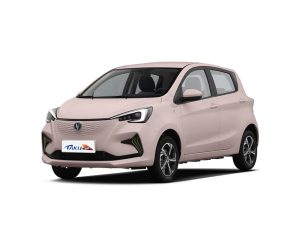 Changan estar_000