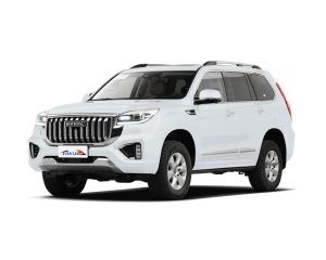 Haval H9_000