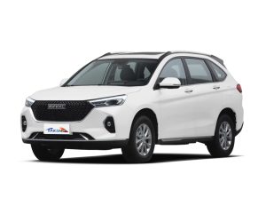 Haval M6_000